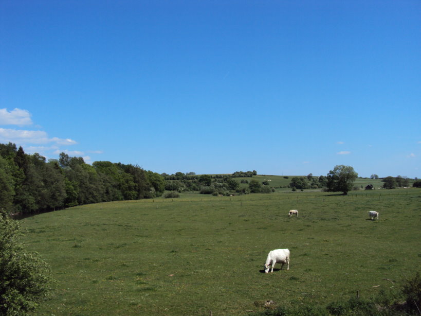 mouzon entre meuse et chier1999.jpg